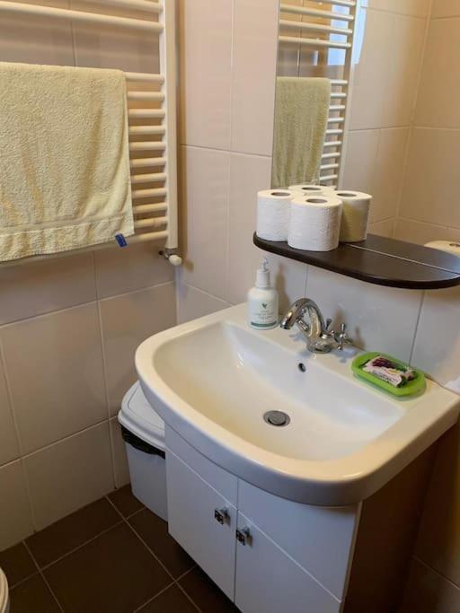Challet Renatte Bran your home away from home