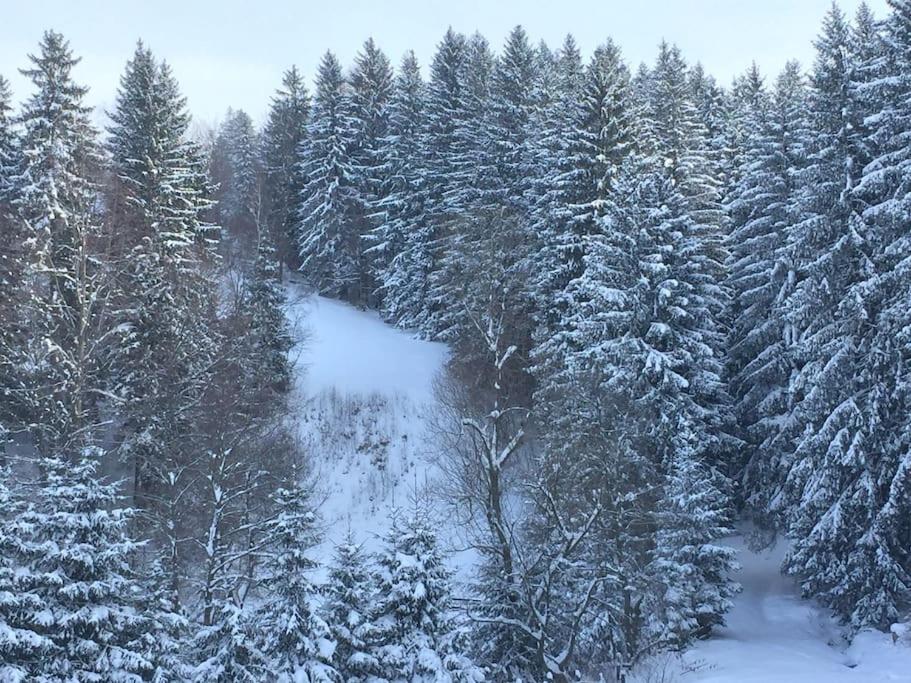 Challet Renatte Bran your home away from home