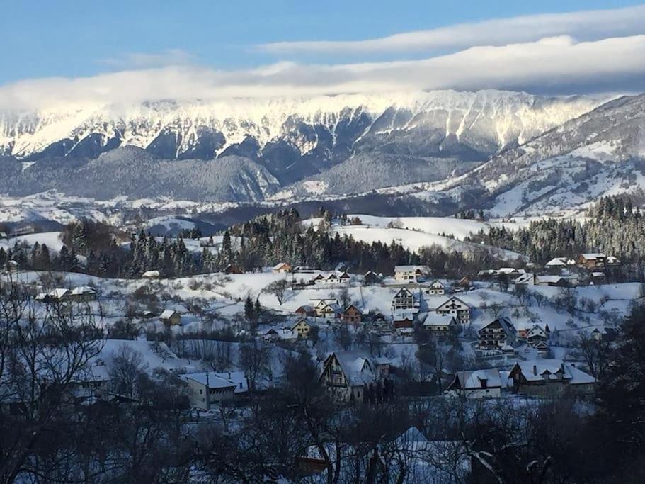 Challet Renatte Bran your home away from home