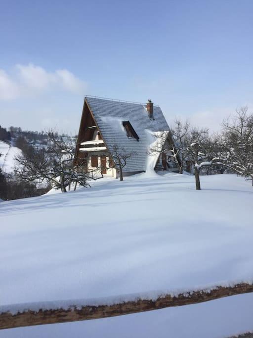 Challet Renatte Bran your home away from home