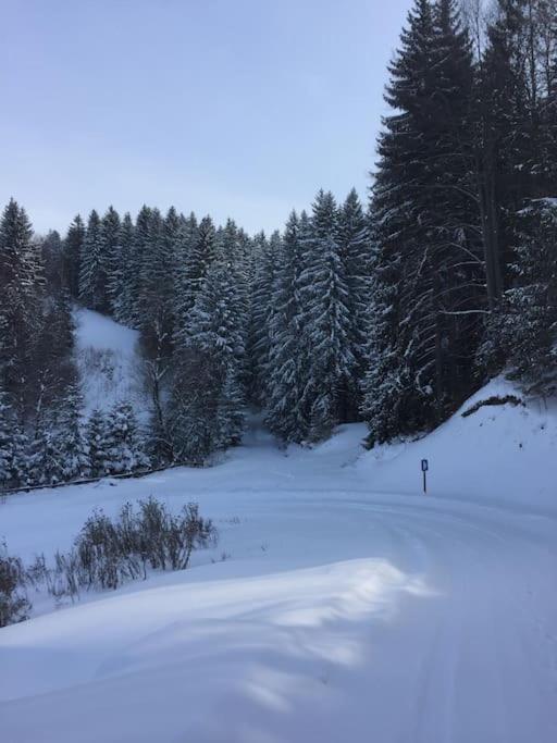 Challet Renatte Bran your home away from home