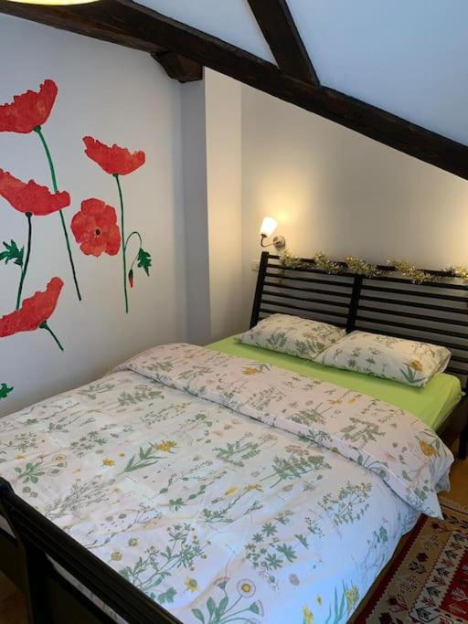 Challet Renatte Bran your home away from home