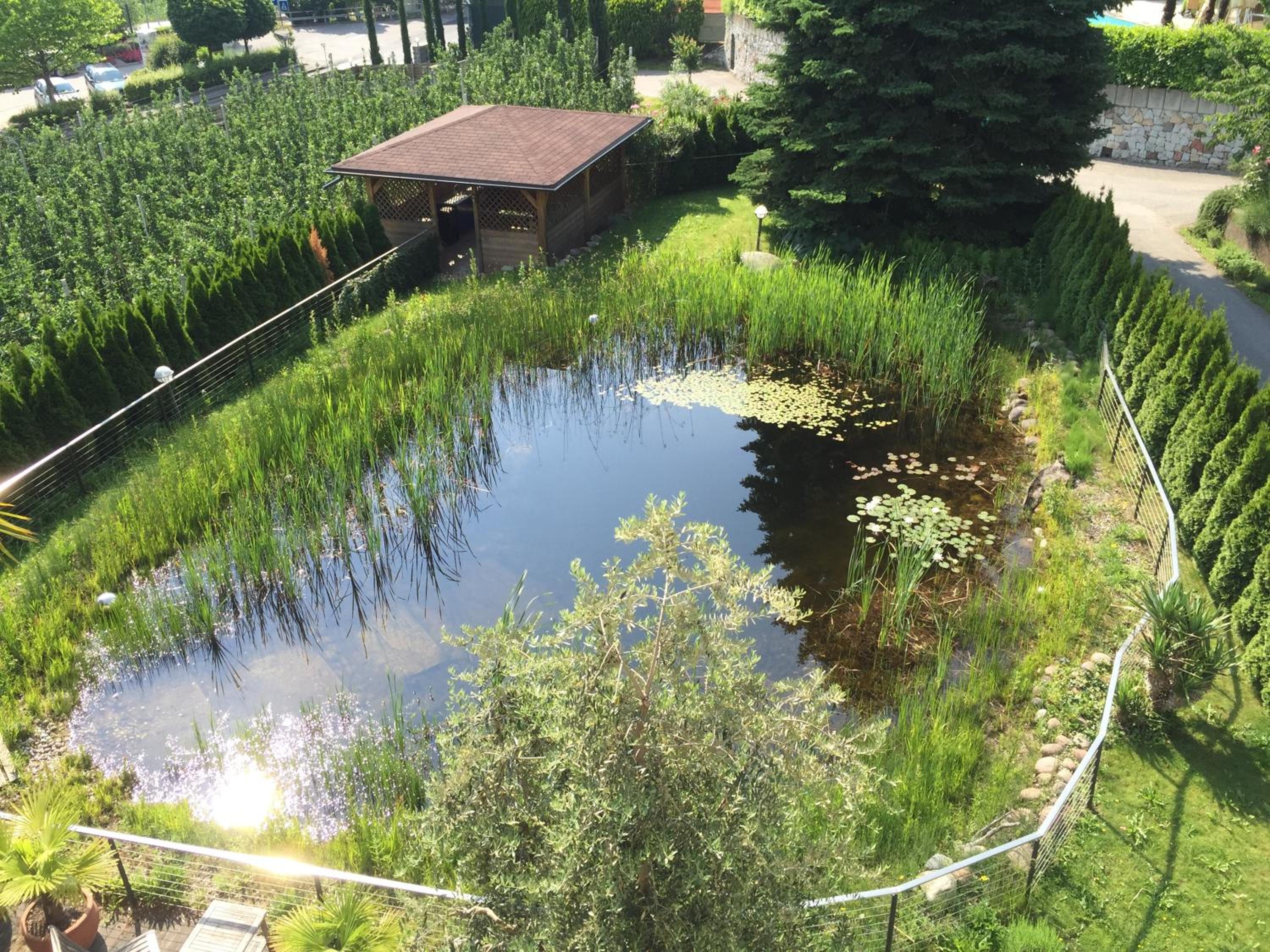 Photo 21