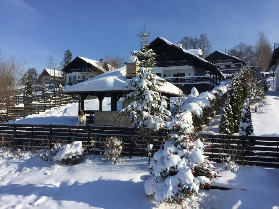 Challet Renatte Bran your home away from home