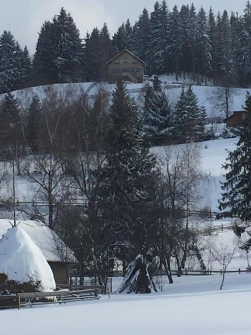Challet Renatte Bran your home away from home