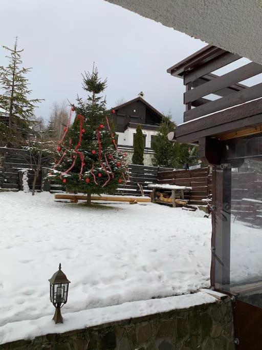 Challet Renatte Bran your home away from home