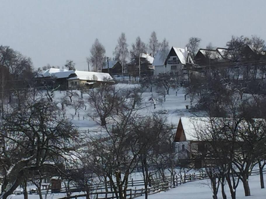 Challet Renatte Bran your home away from home