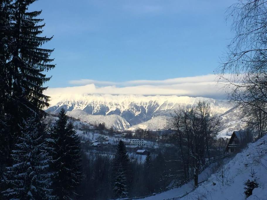 Challet Renatte Bran your home away from home