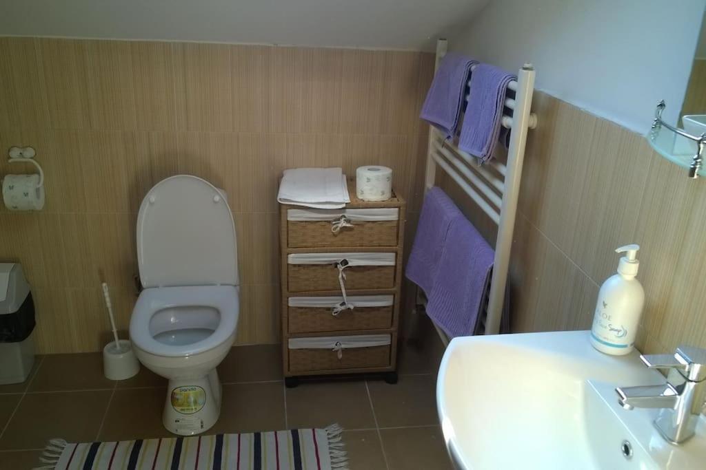 Challet Renatte Bran your home away from home