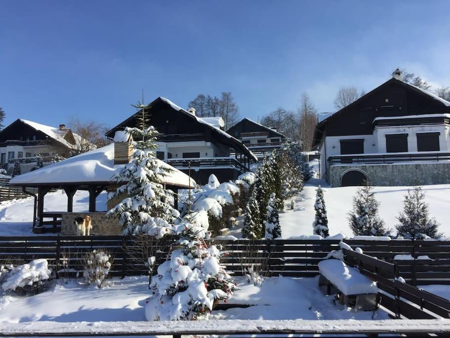 Challet Renatte Bran your home away from home