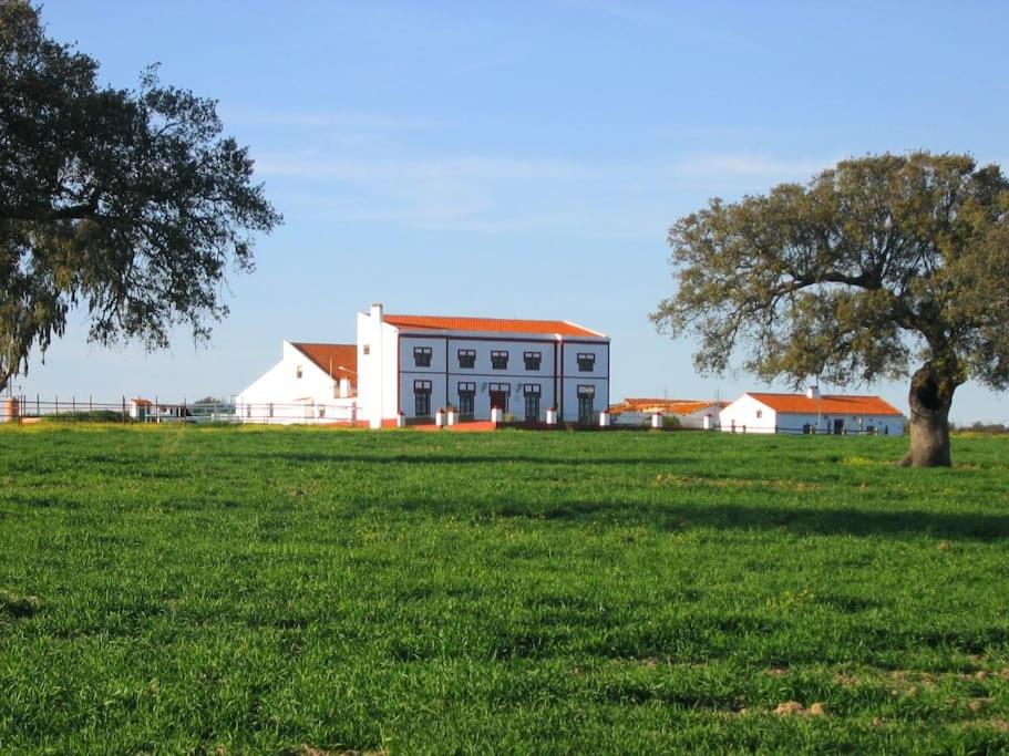 Finca Los Llanos