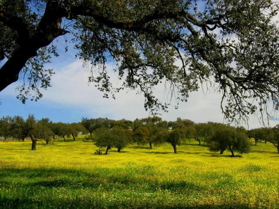 Finca Los Llanos