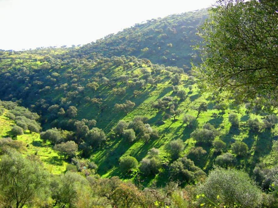 Finca Los Llanos