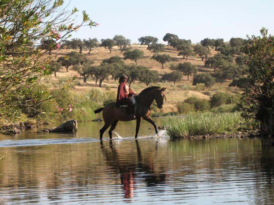 Finca Los Llanos