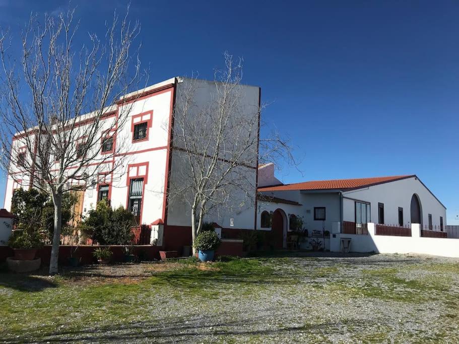 Finca Los Llanos