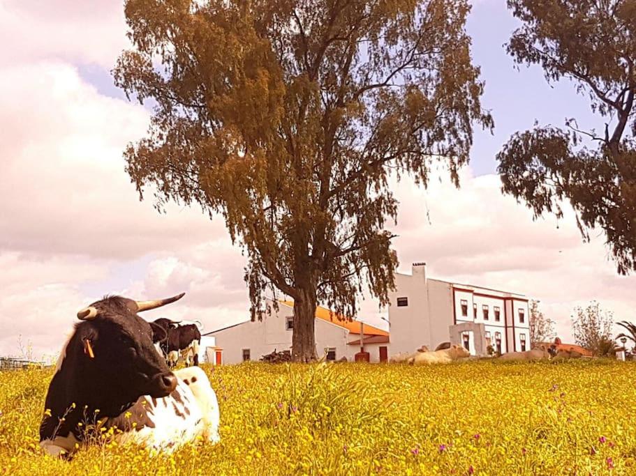 Finca Los Llanos