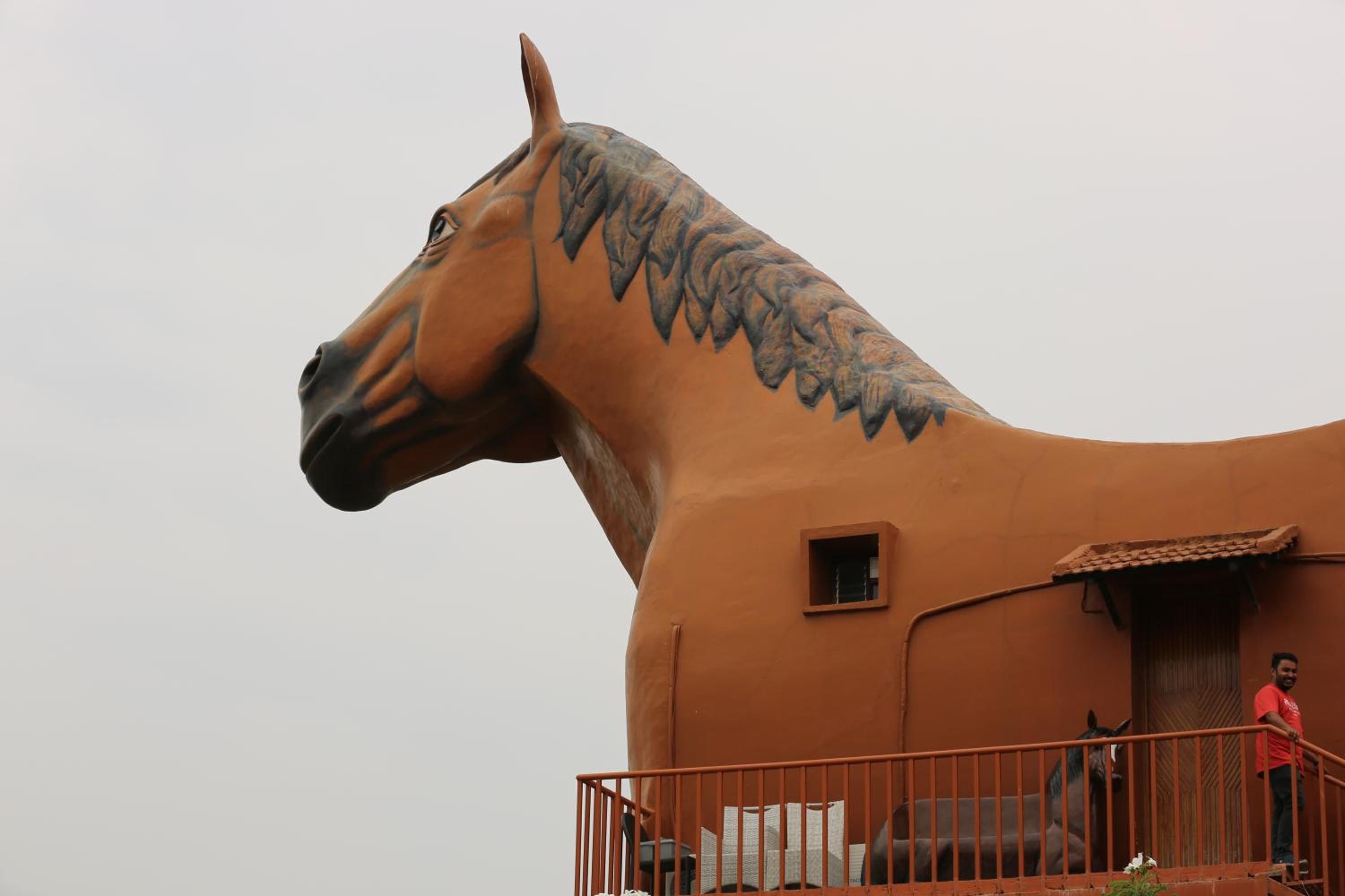 Champions Ranch