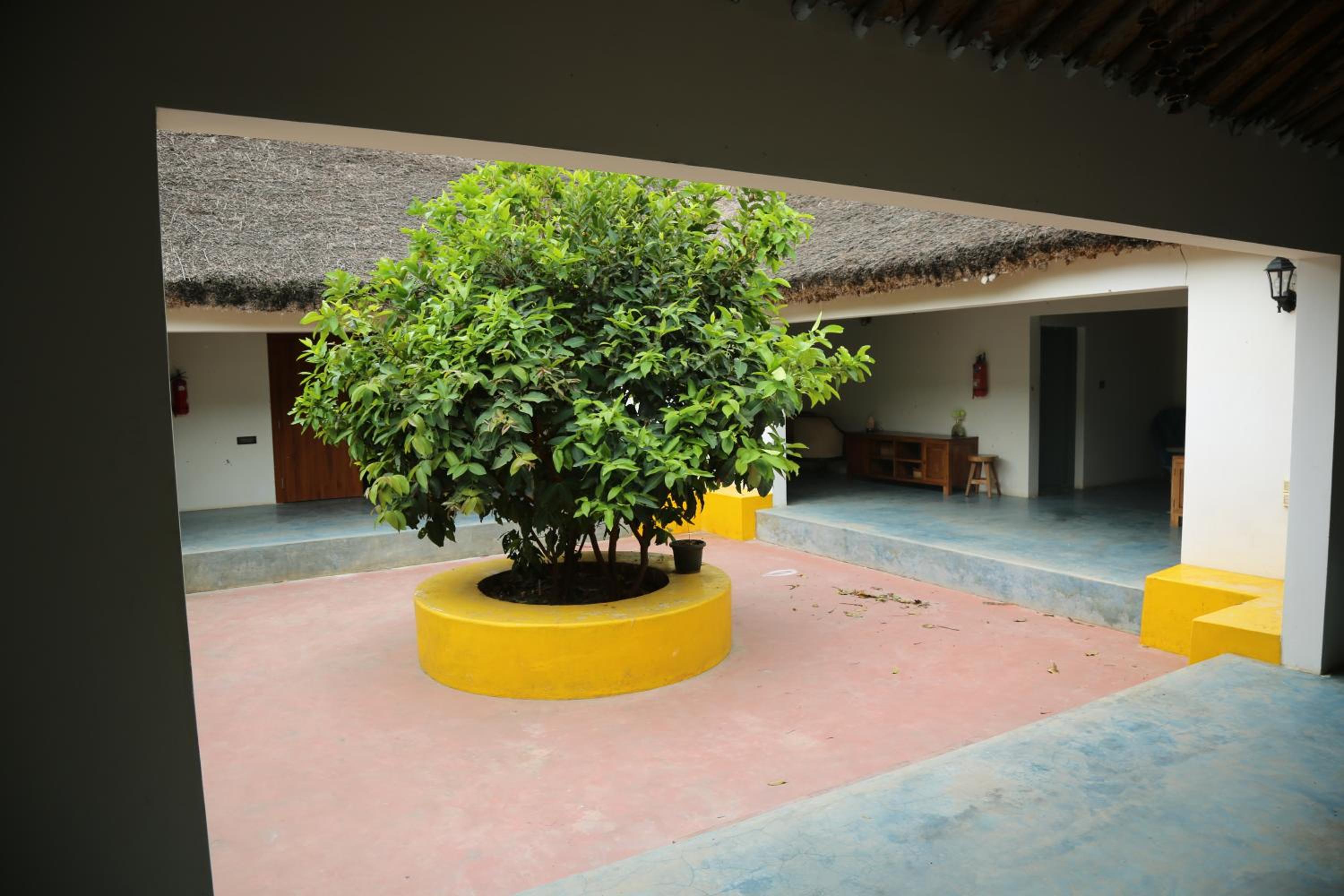 Champions Ranch