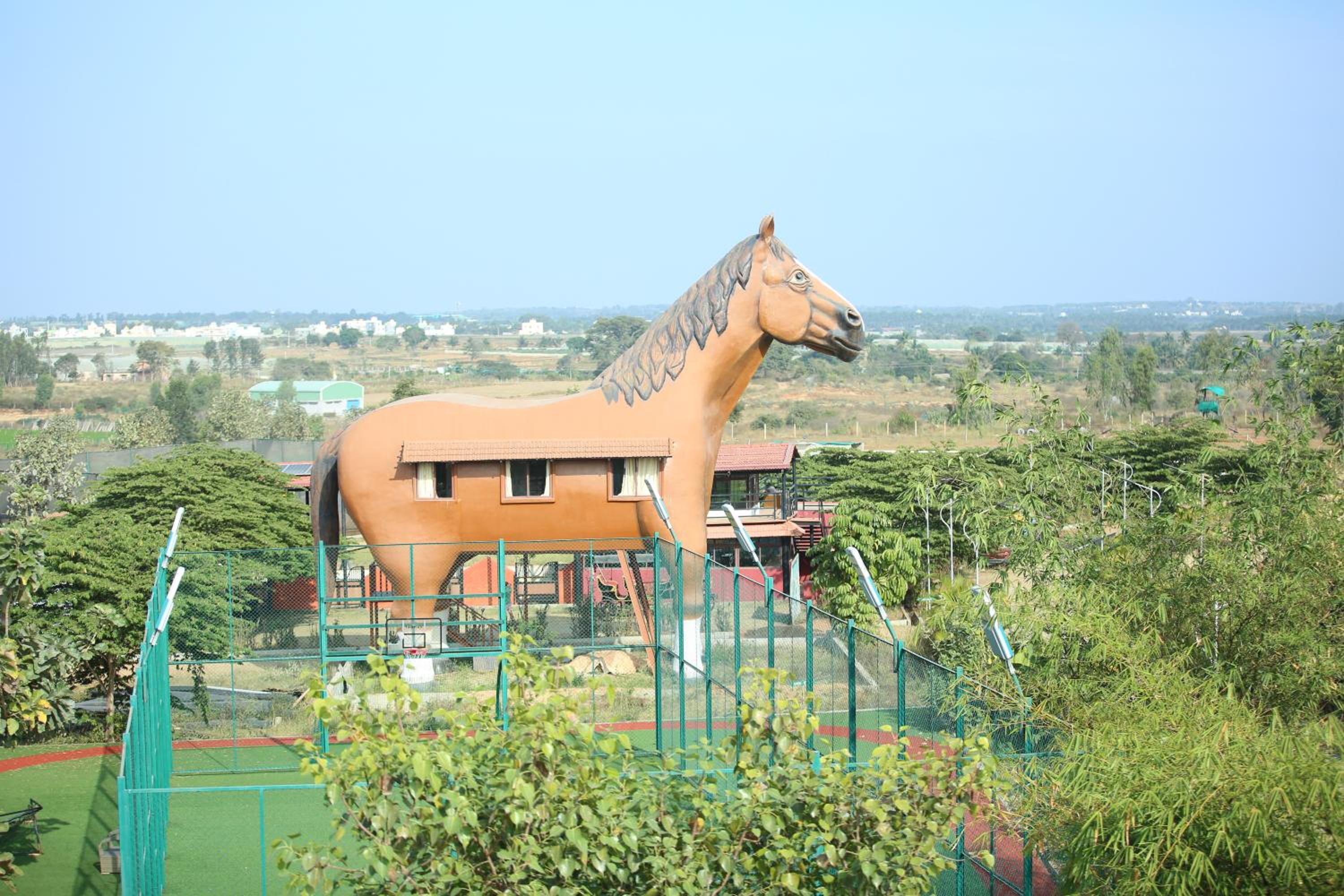 Champions Ranch