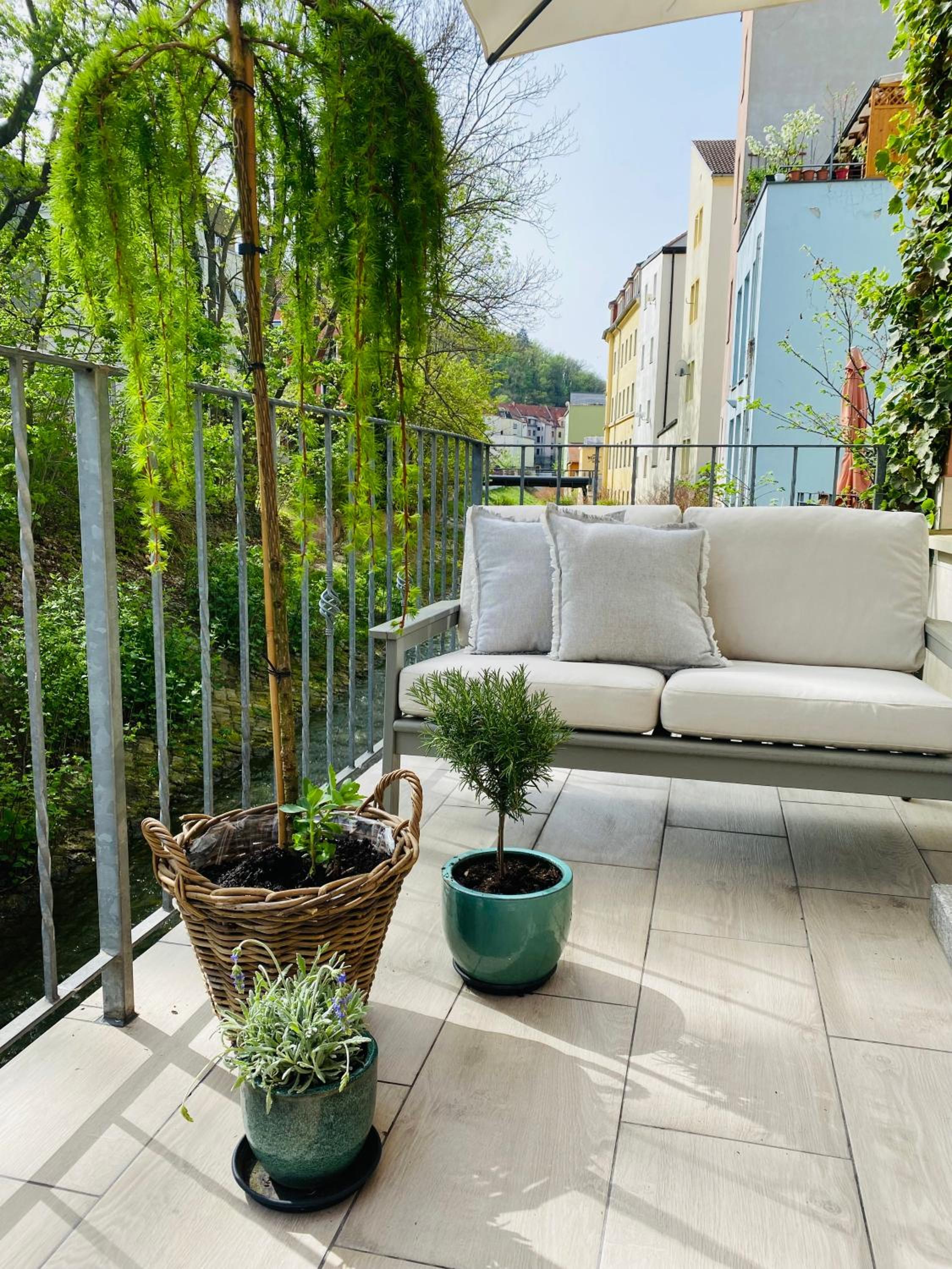 balance & terrace