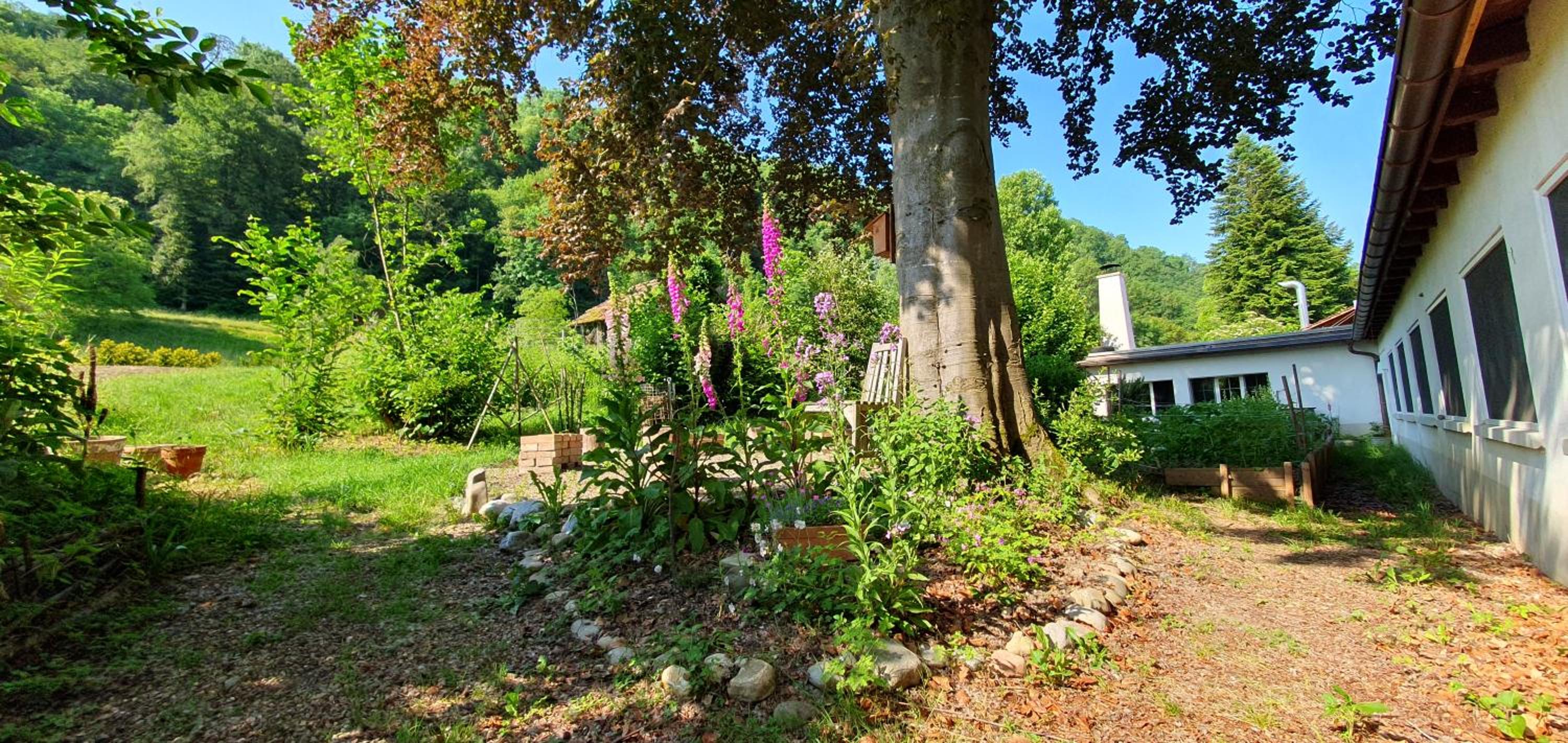 Studio beim Rhein - Ziegelhütte