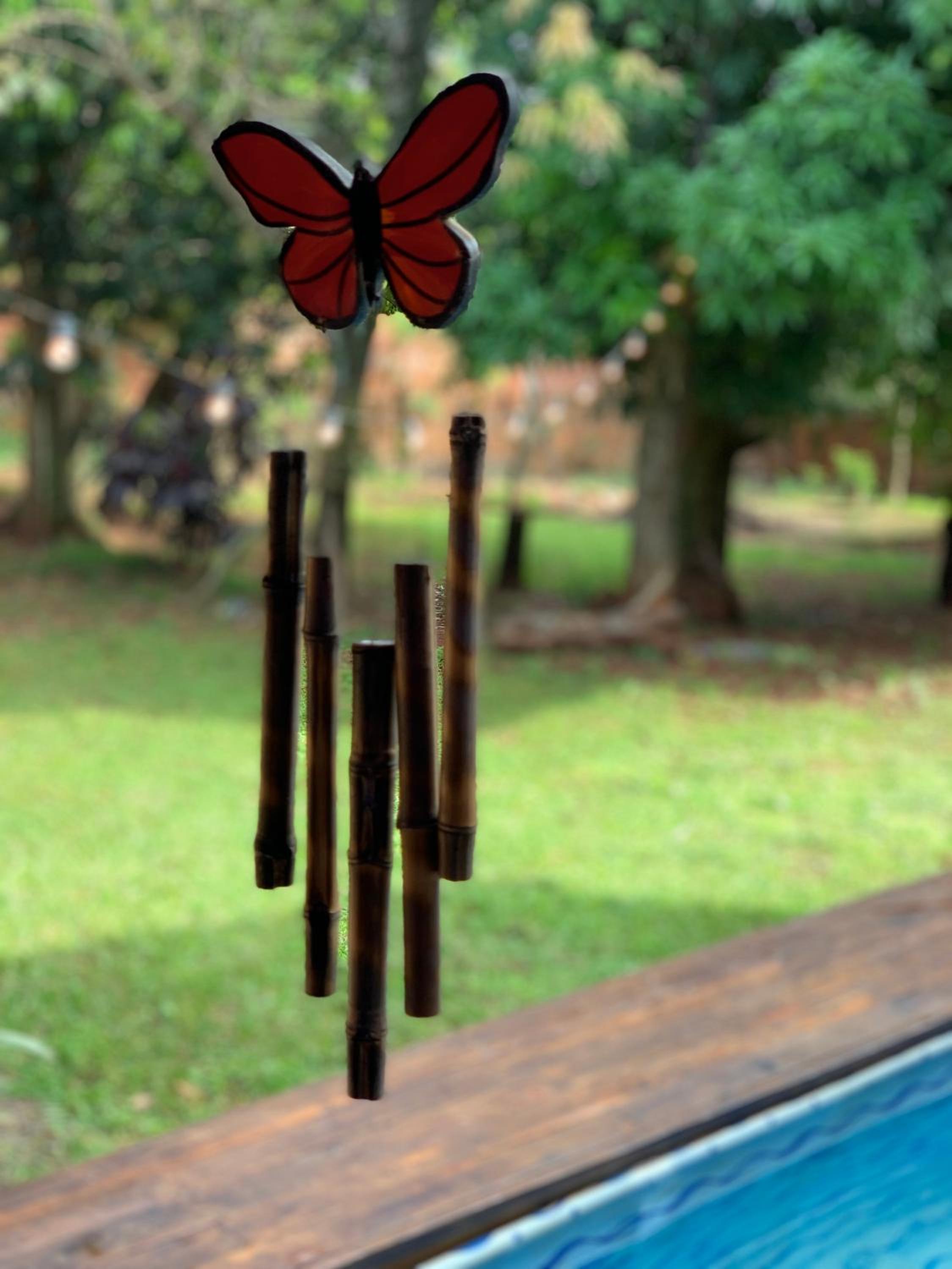 Hospedaje Terra Bela