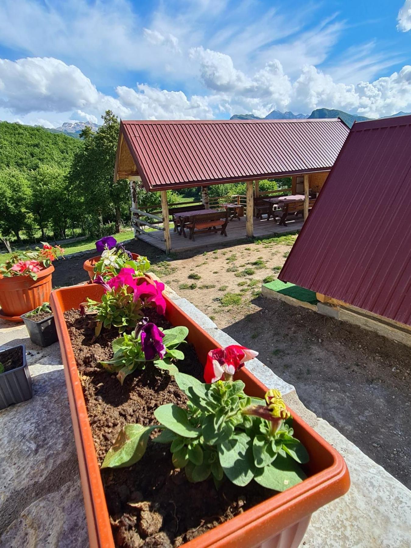 Bungalows Malagić