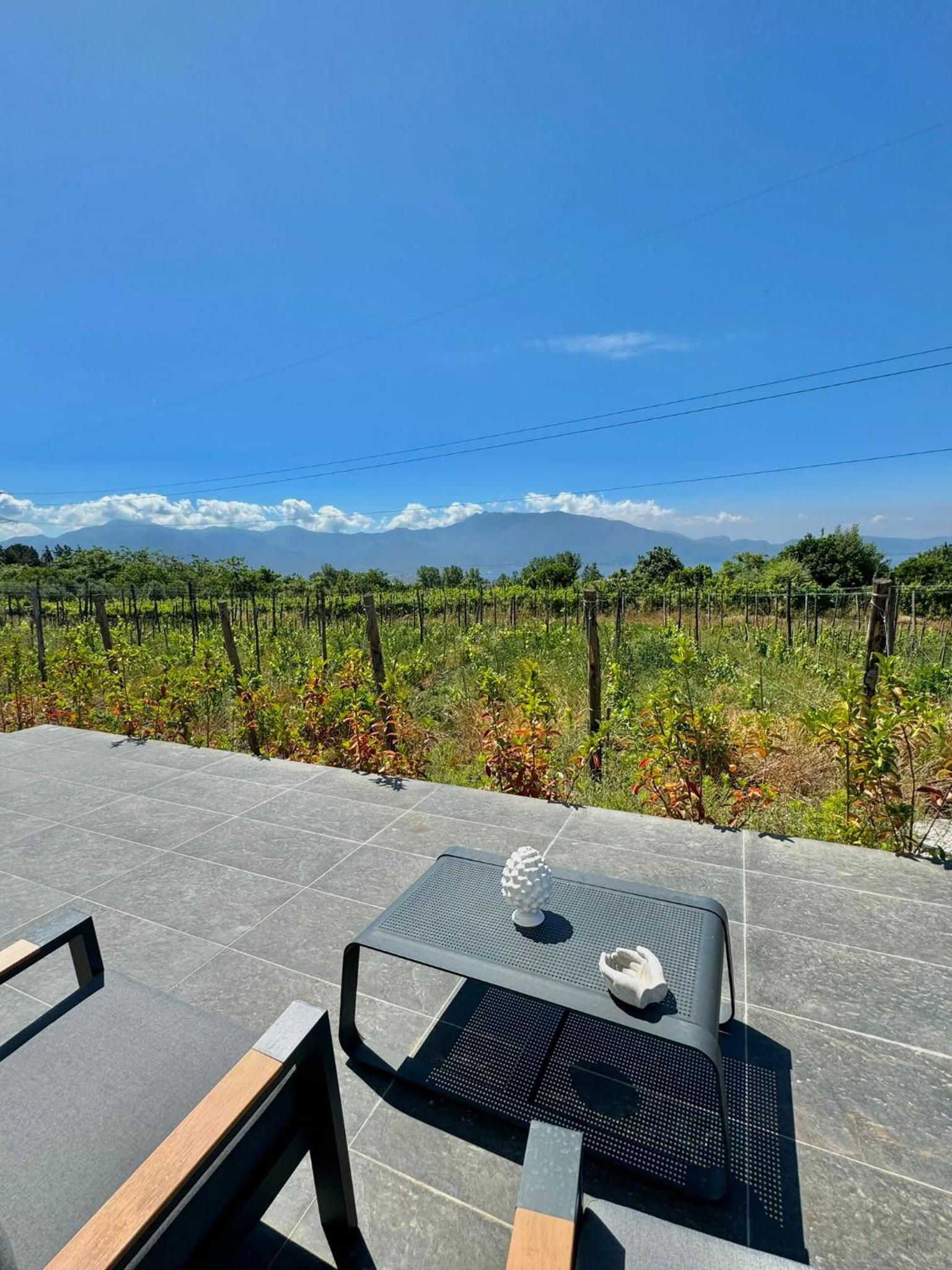 La Pergola Vesuviana photo 2