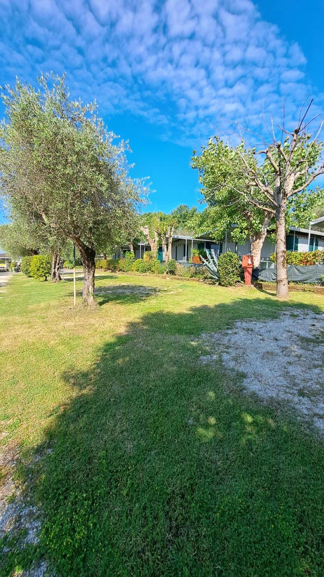 Camping Porto srl