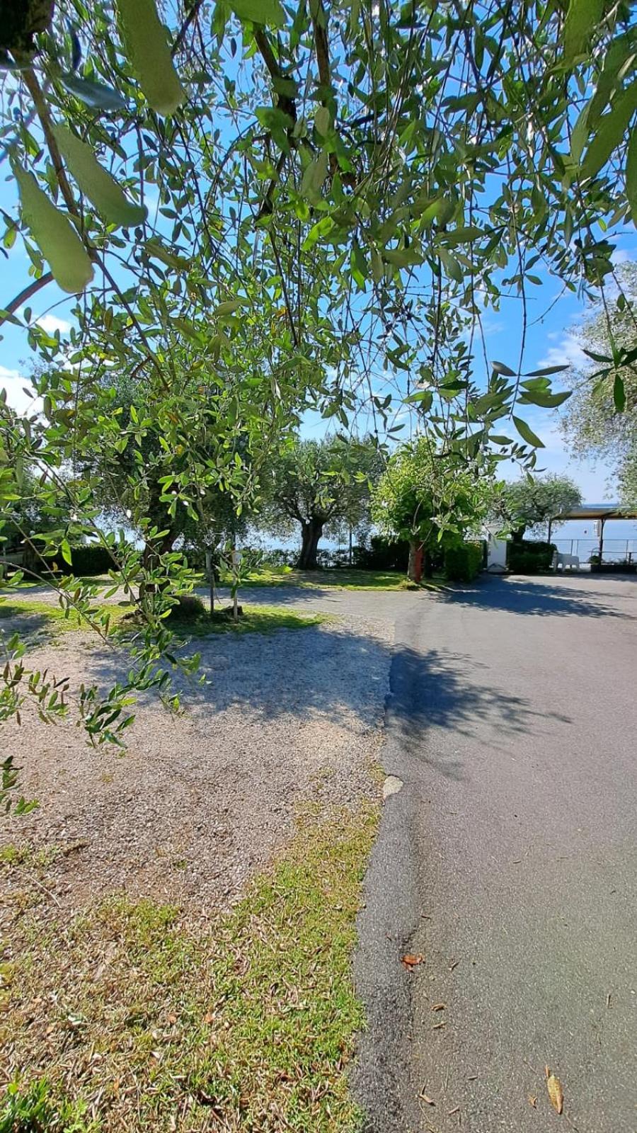 Camping Porto srl
