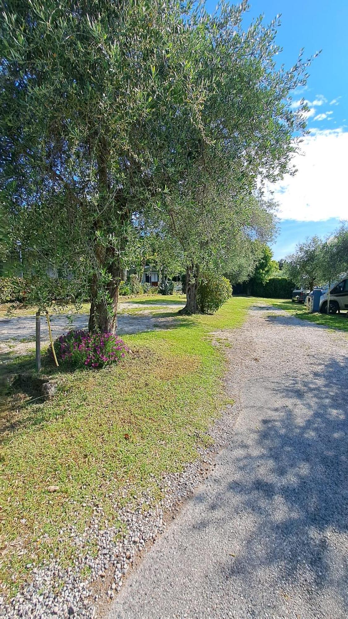 Camping Porto srl