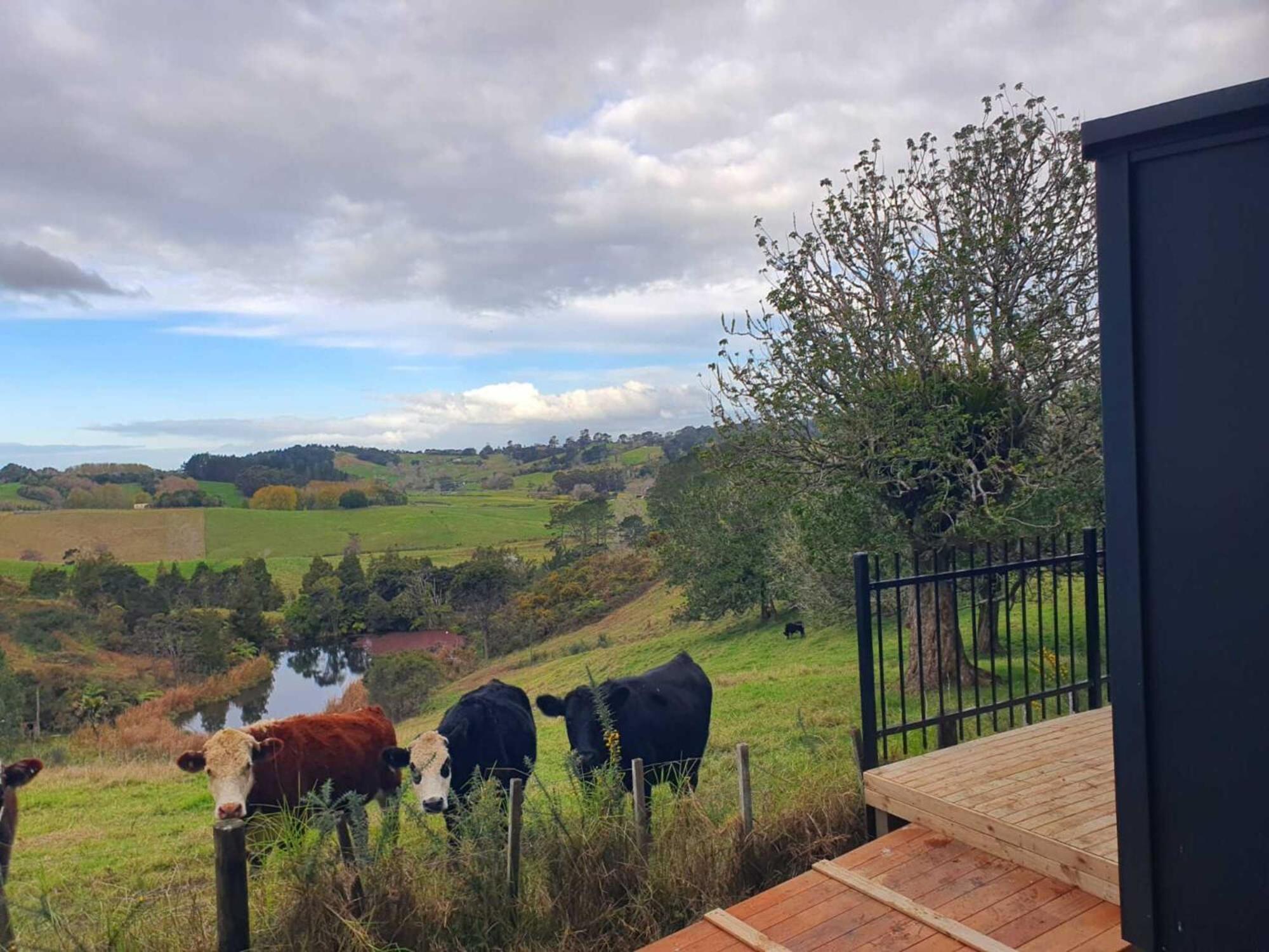 The Kauri Haven by Tiny Away view 2