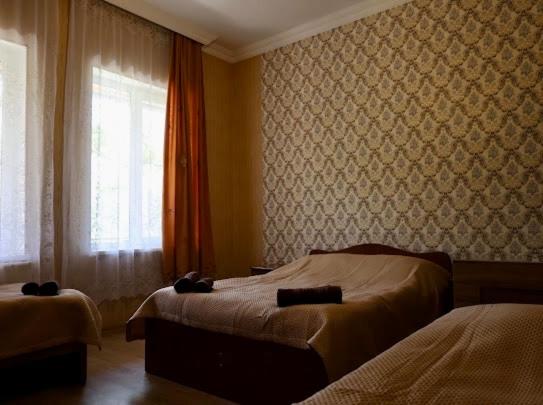 borjomi wood edge view 4