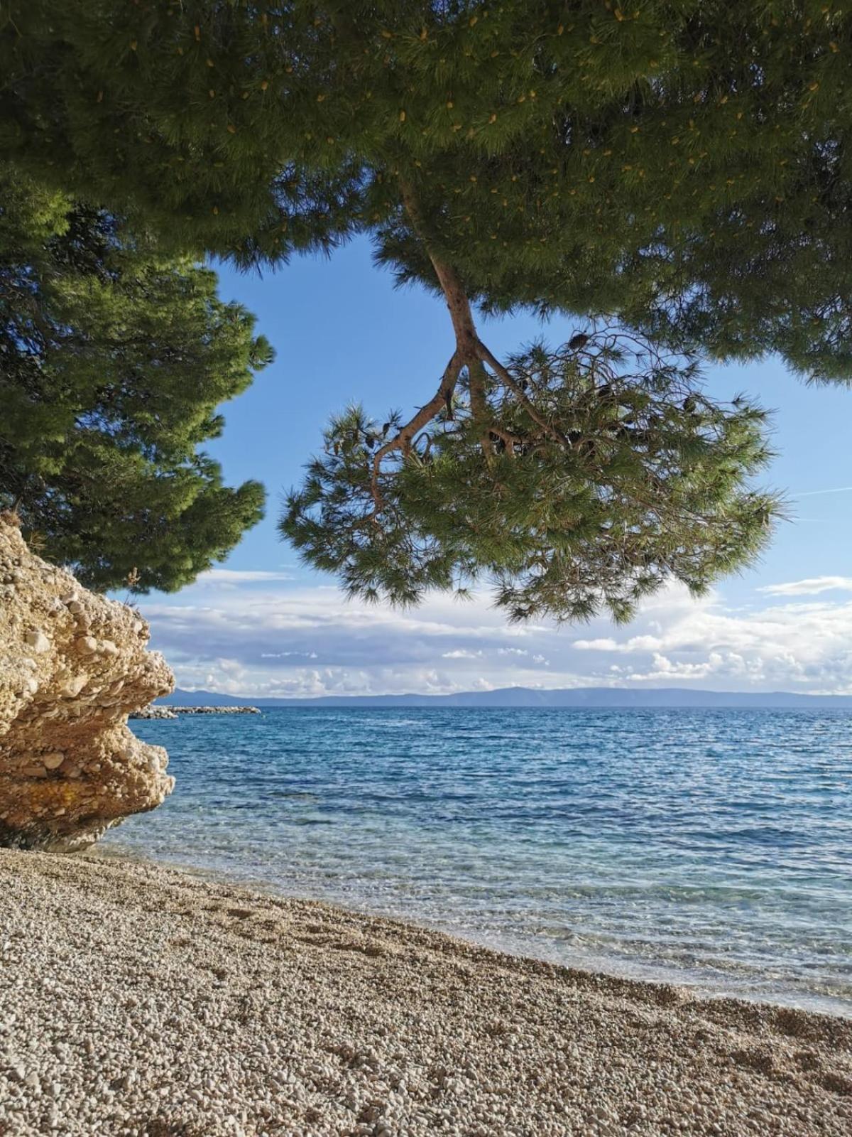 KLINE Makarska center