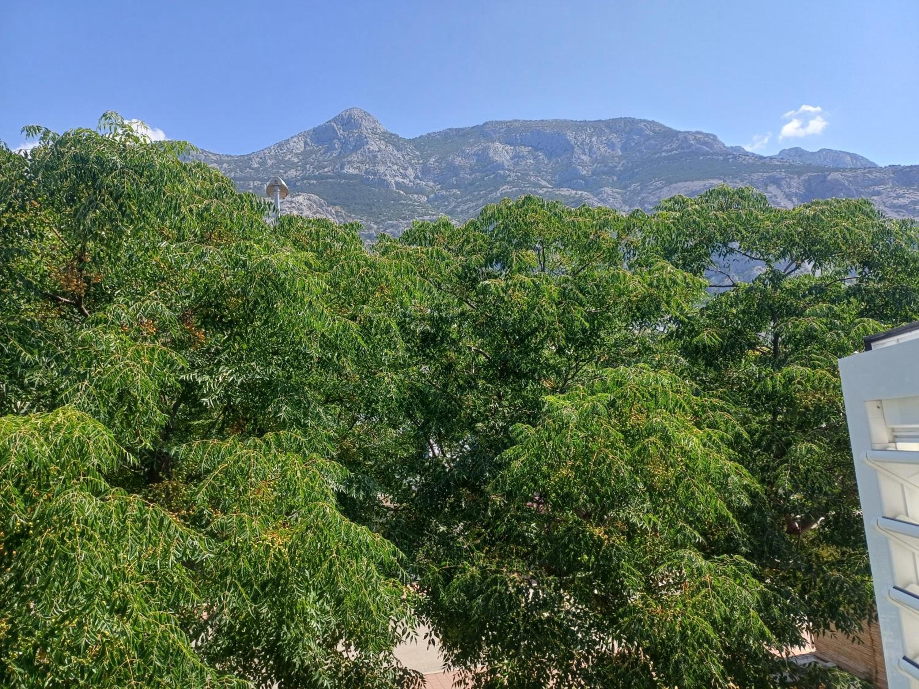 KLINE Makarska center