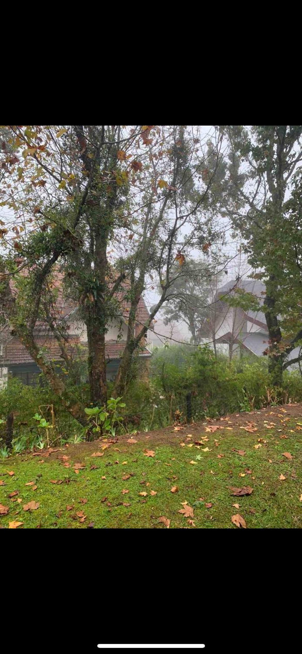 Casa em Campos do Jordão