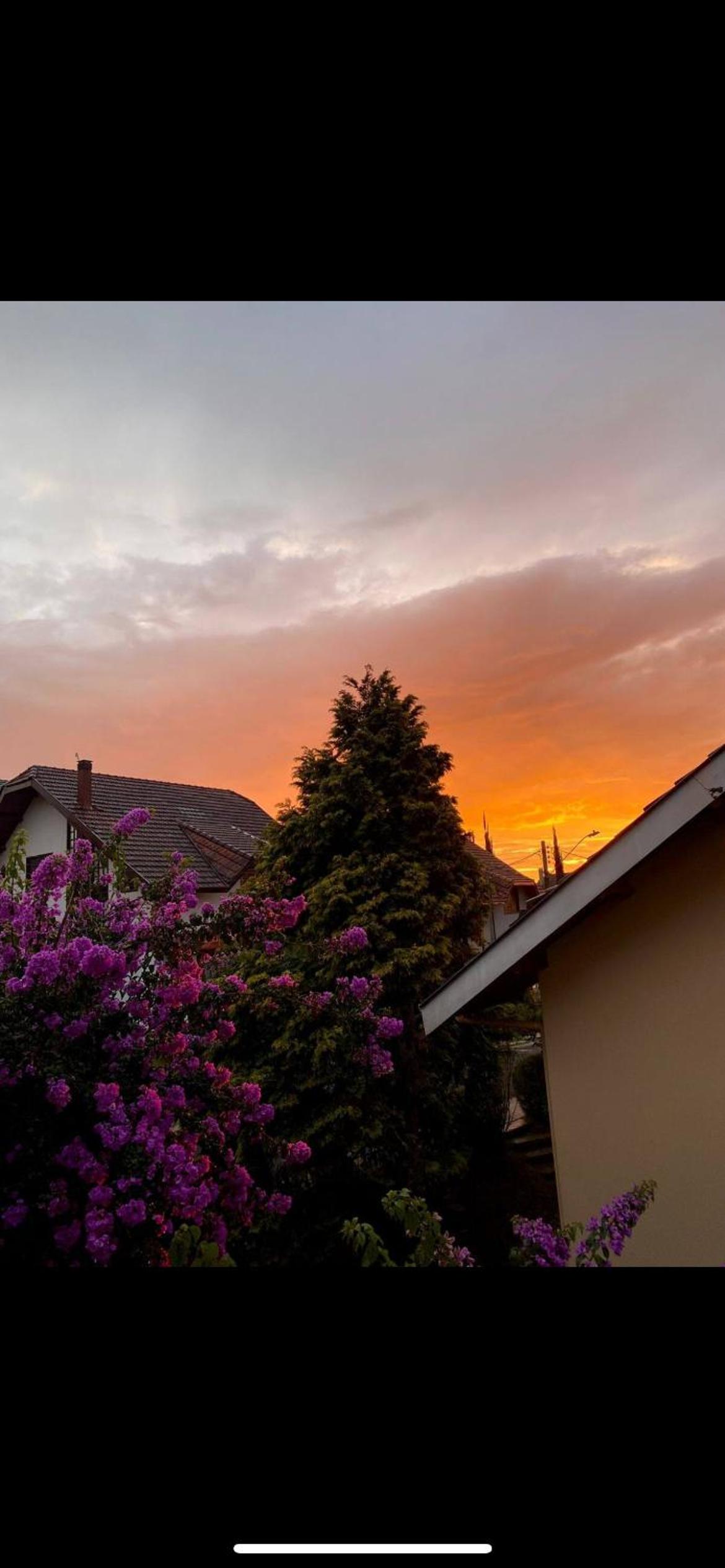 Casa em Campos do Jordão