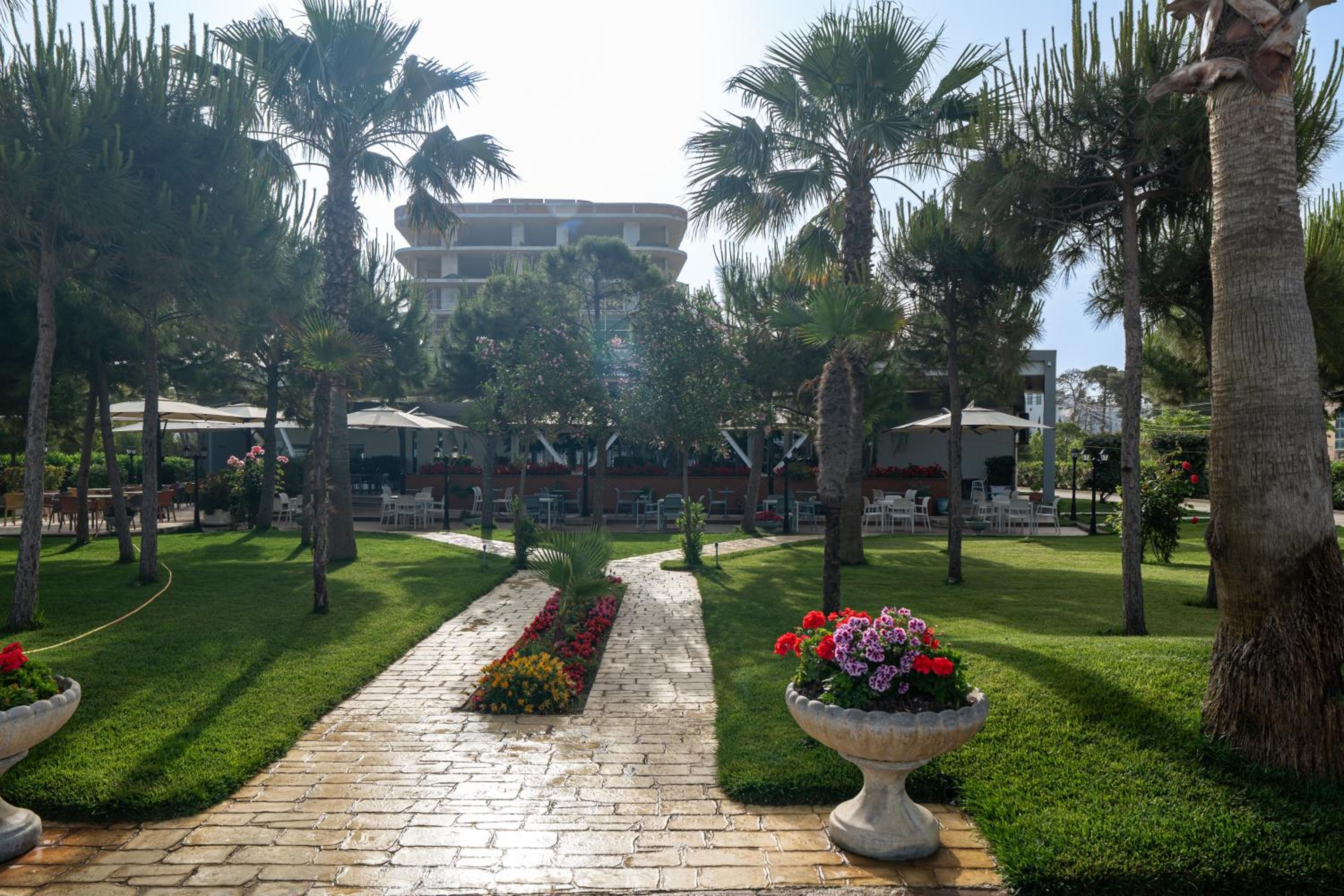 Dajmon Sea view