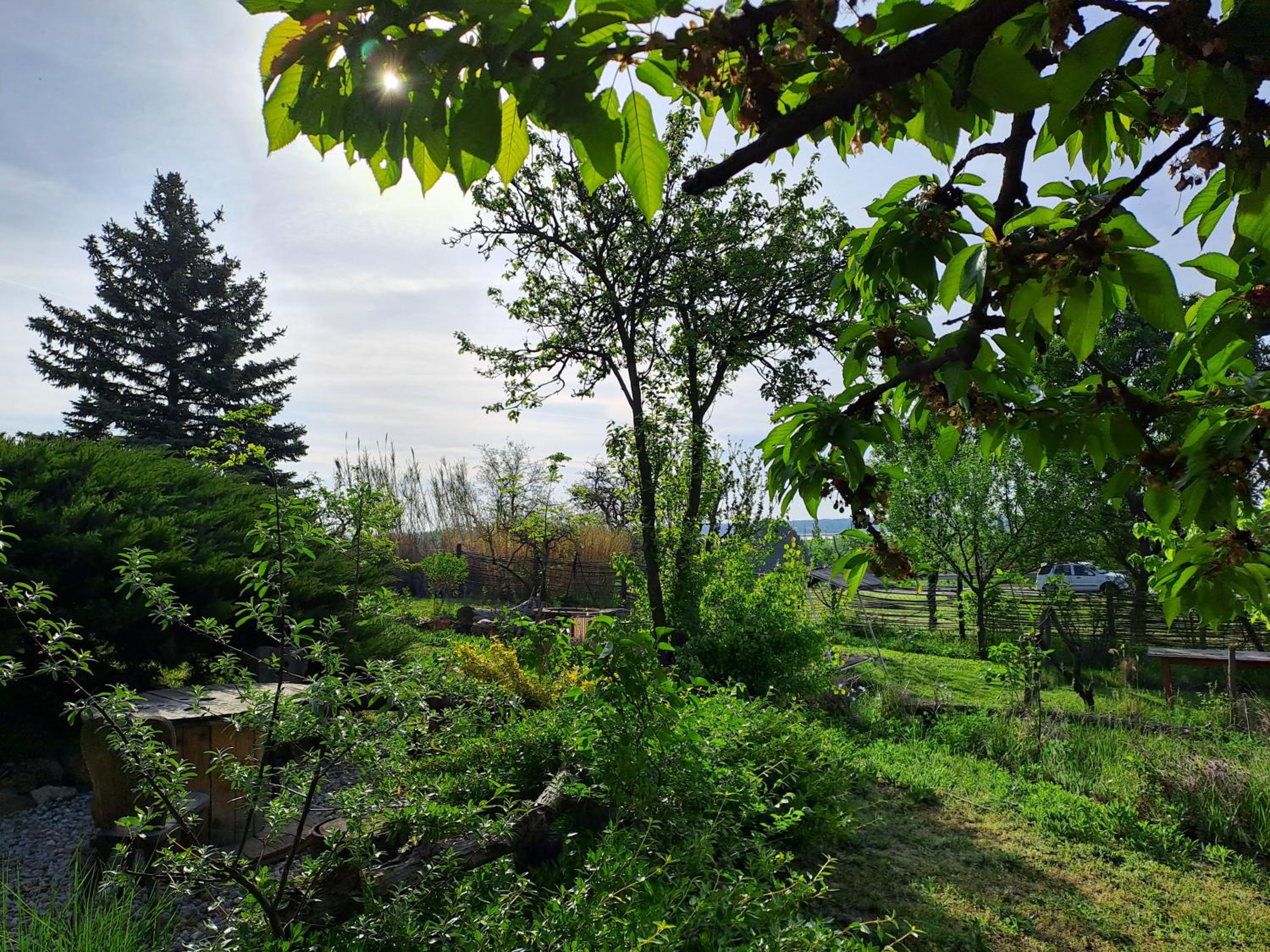 Lilla-Villa view 4