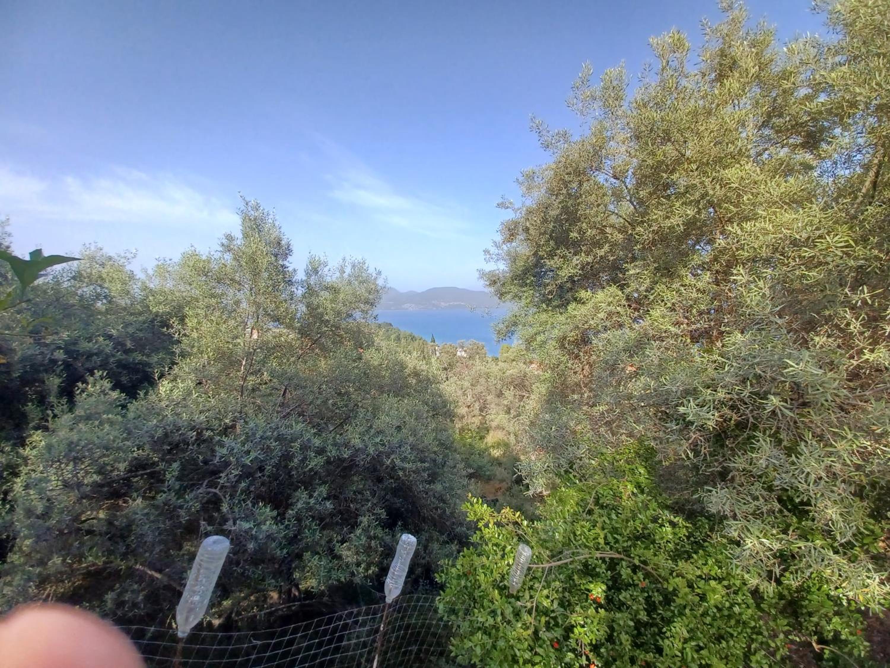 Ionian Sea