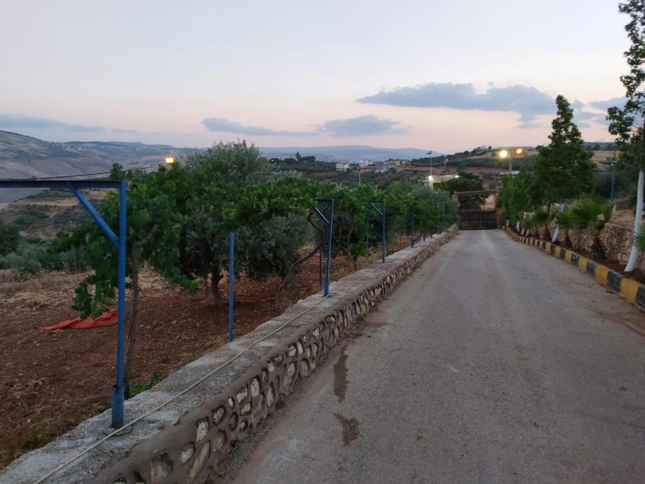 Jerash Farm view 4