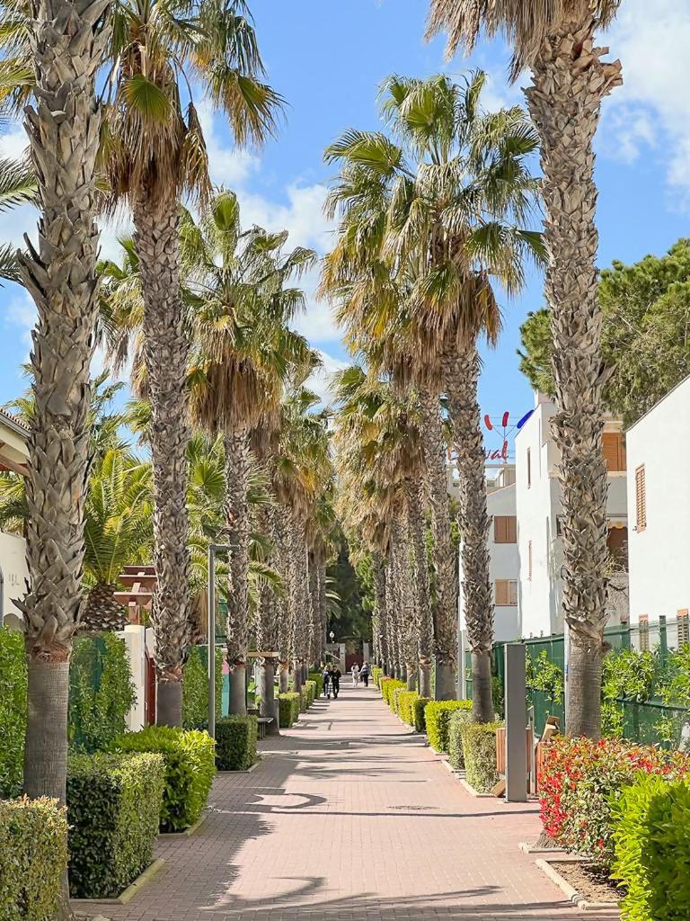 Mediterranea Loft New