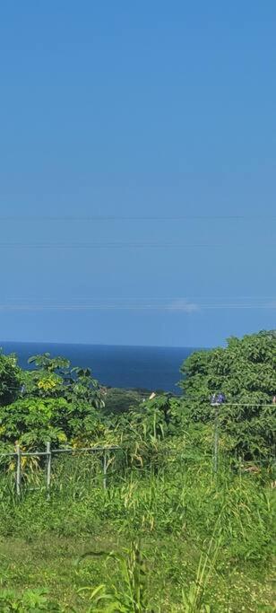 Luxe Haven Retreats