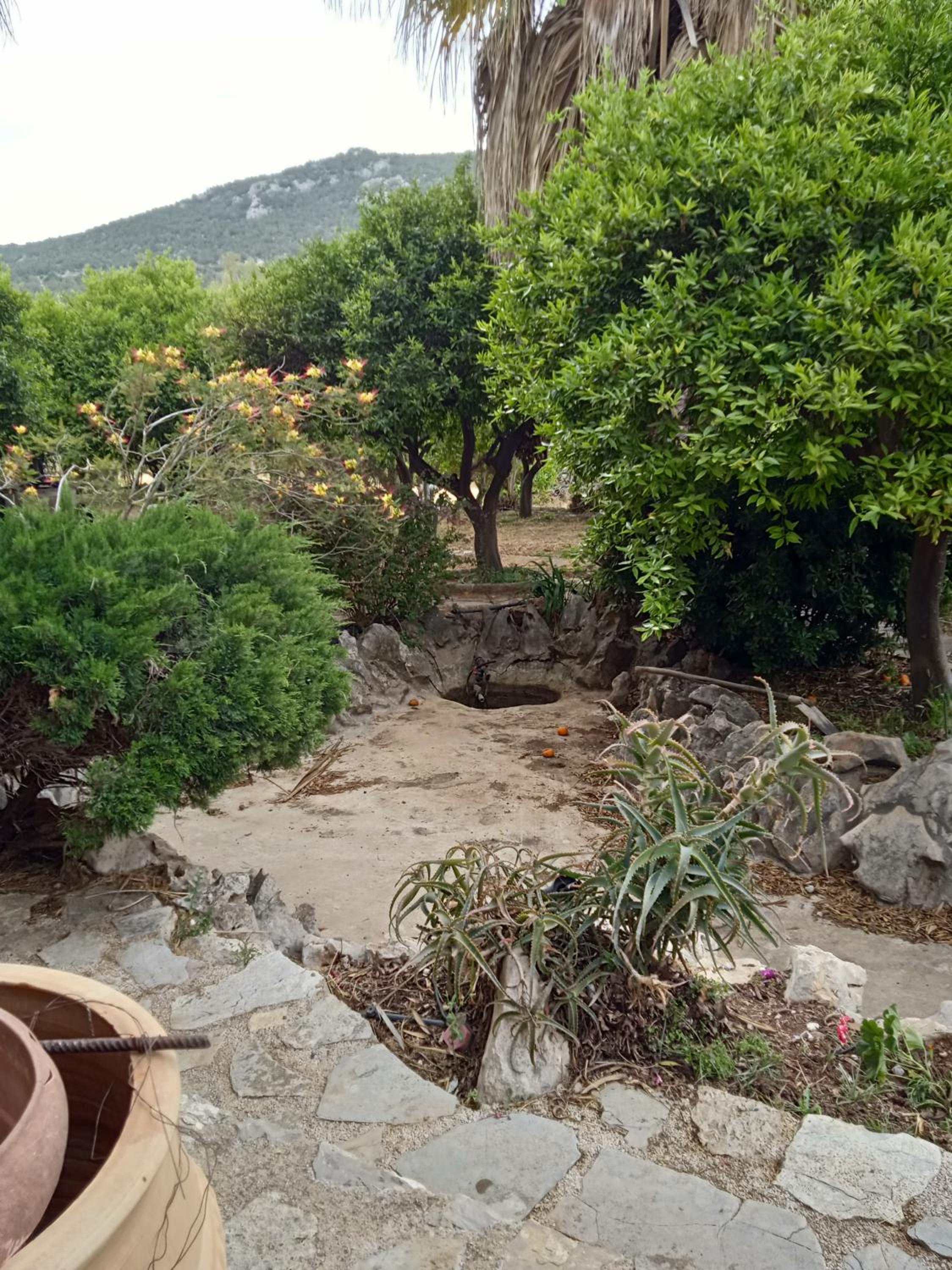 Photo 14