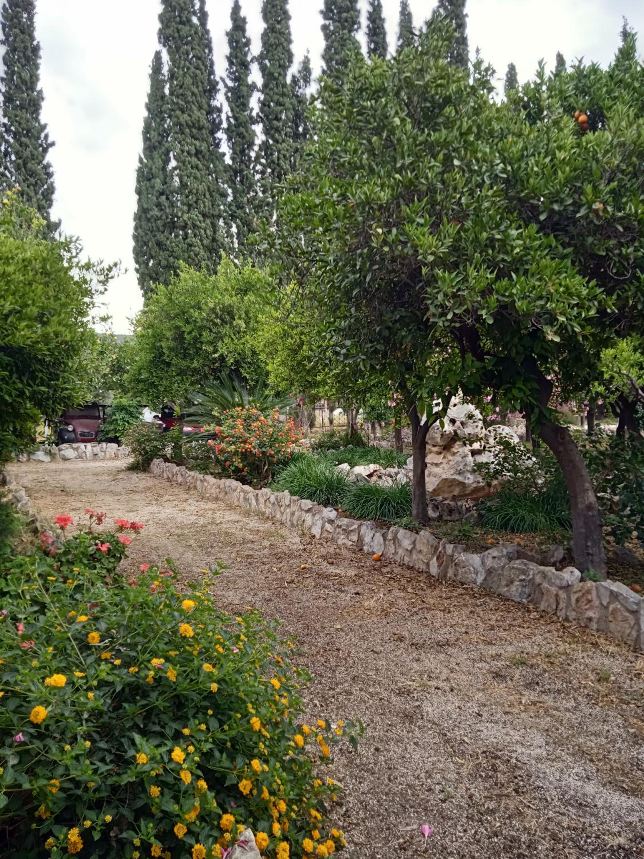 Photo 20