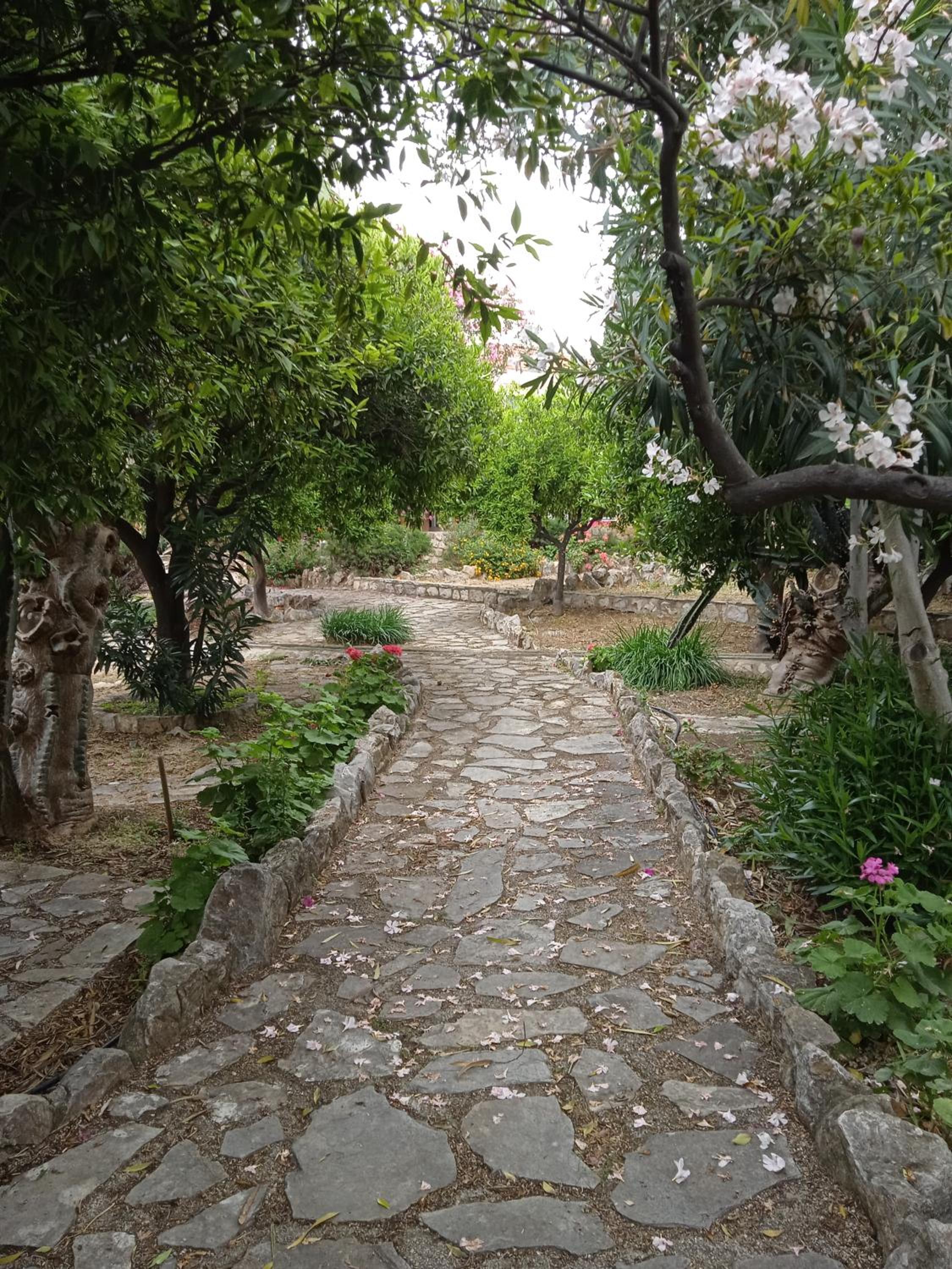 Photo 22