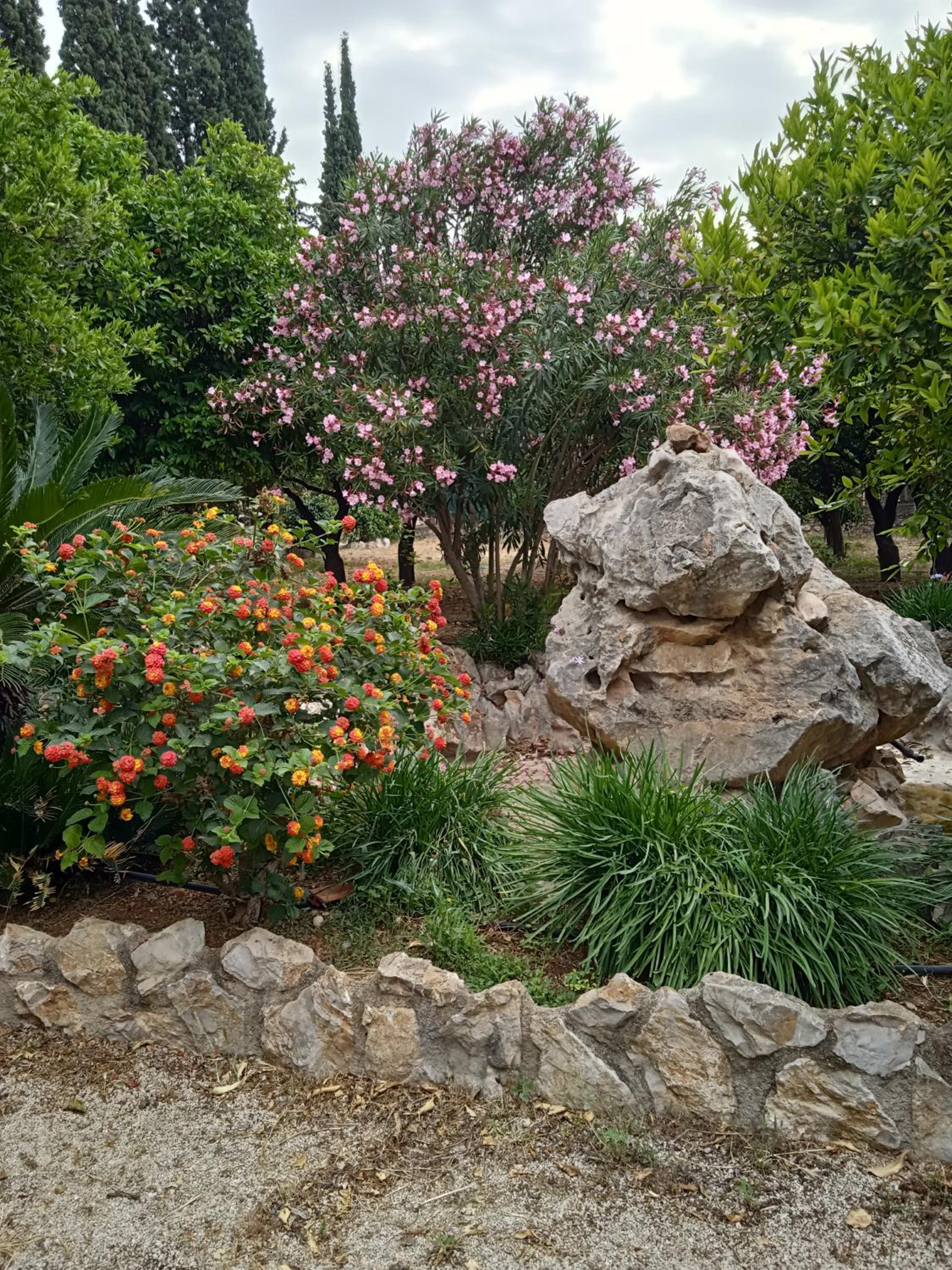 Photo 25