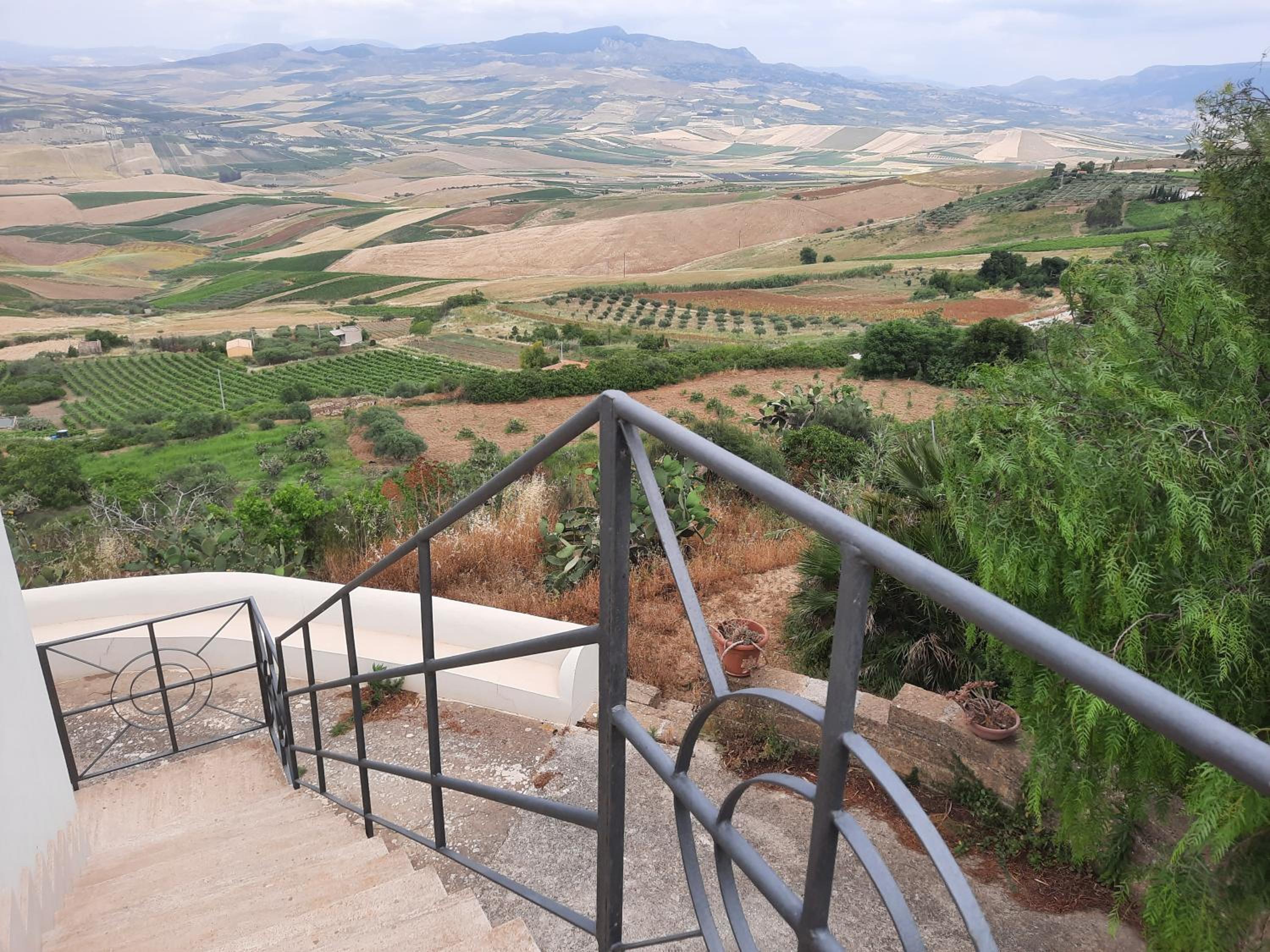 Belvedere