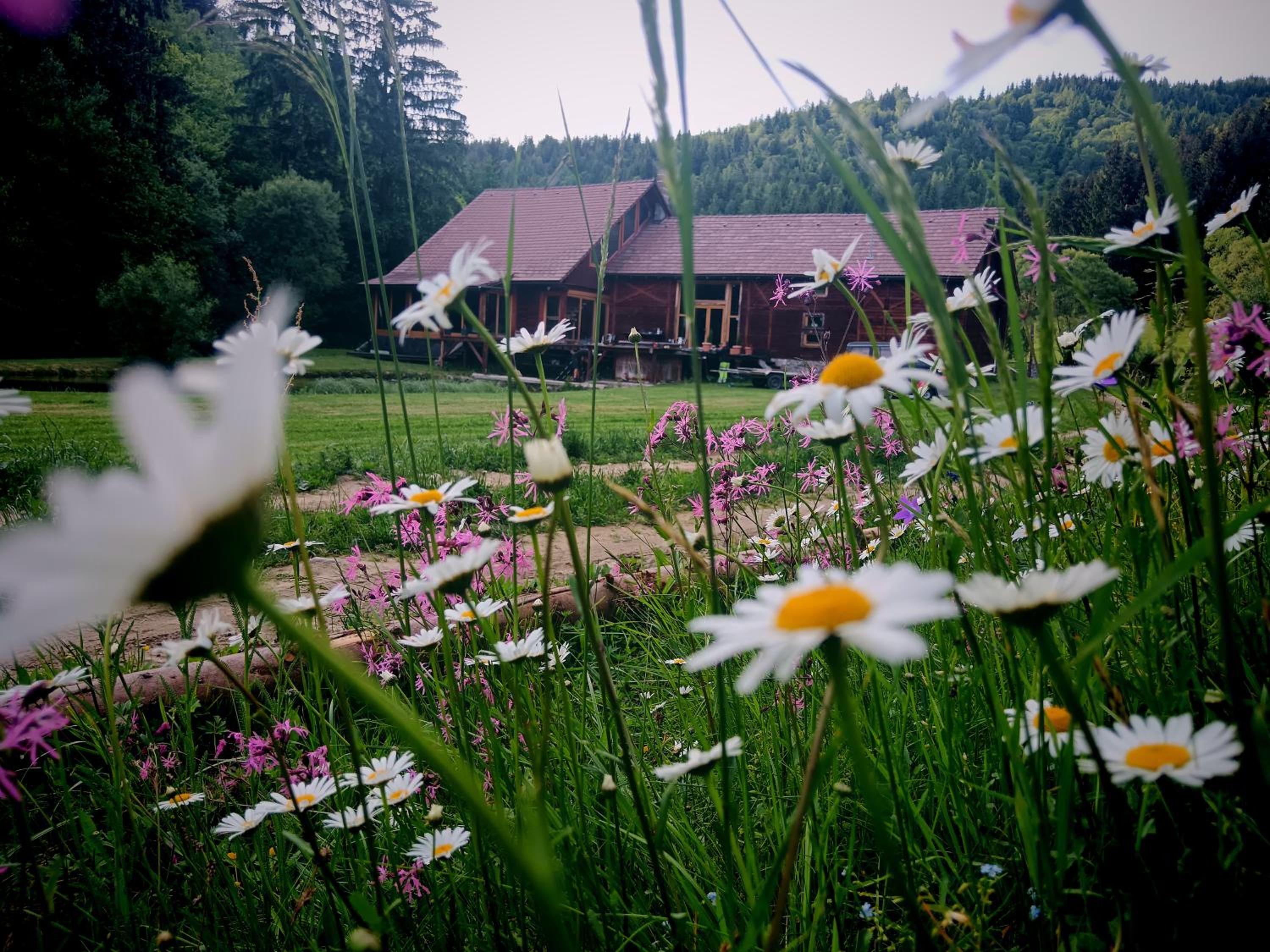 Crossline Lodge view 2