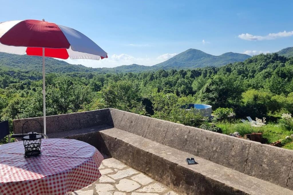 Sunny Valley - Traditional house